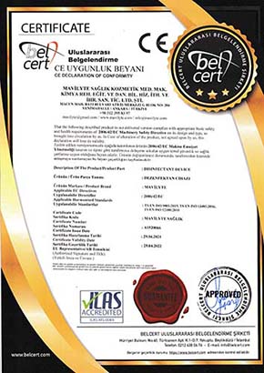 الضمان الحكومي